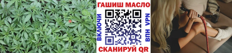 магазин    Судак  Дистиллят ТГК концентрат 