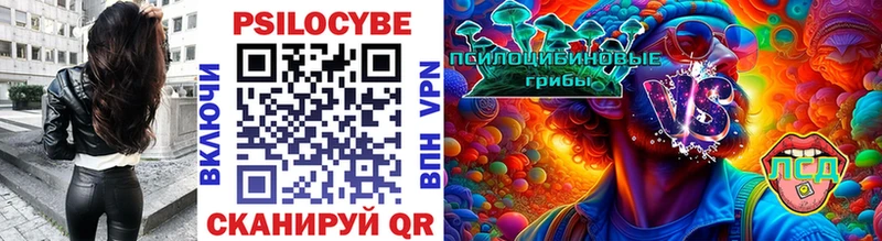 Псилоцибиновые грибы MAGIC MUSHROOMS  Судак 